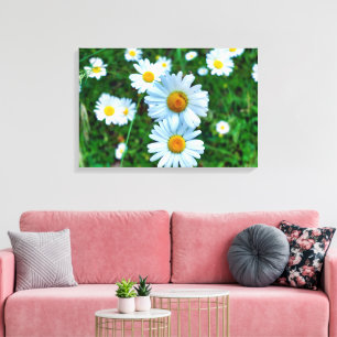 Lienzo Ox-Eye Daisies