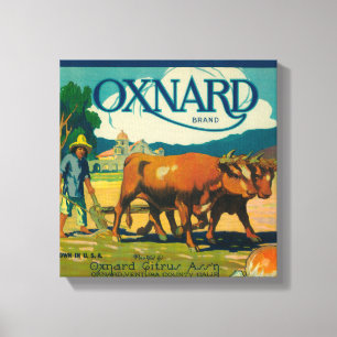 Lienzo Oxnard LabelOxnard anaranjado, CA