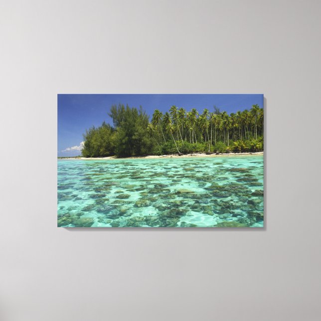 Lienzo Pacífico Sur, Polinesia Francesa, Moorea 3 (Anverso)