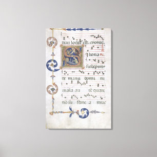 Lienzo Página del ms 564 f.13v con "S inicial