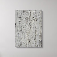 Paint de peeling Barn
