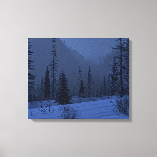 Lienzo País alto (invierno/noche) (Anverso)