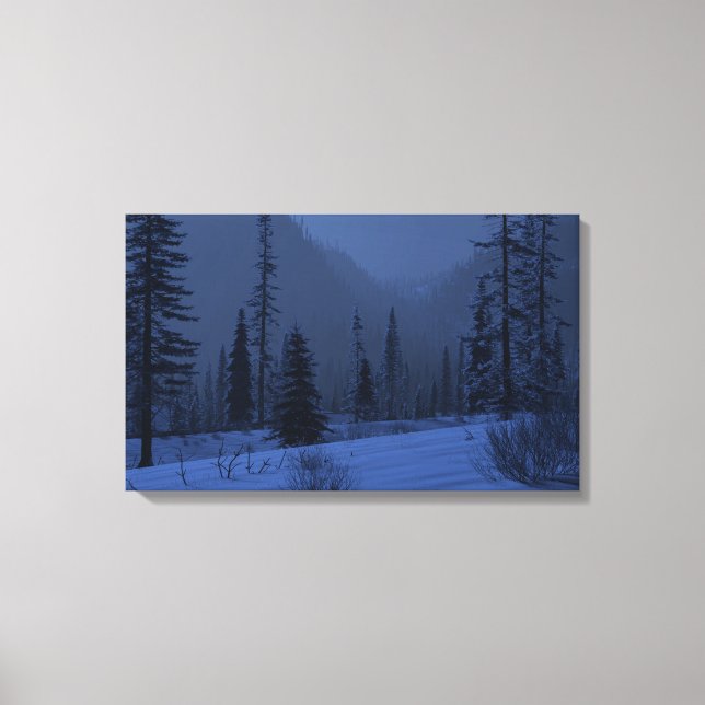 Lienzo País alto (invierno/noche) (Anverso)