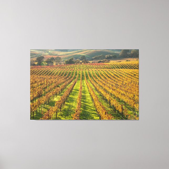 Lienzo País del Vino de California (Anverso)