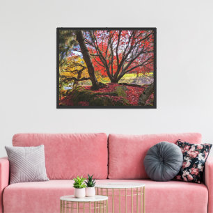 Lienzo Paisaje colorido de hojas y árboles otoñales
