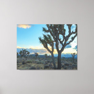 Lienzo Paisaje de árboles de Joshua al atardecer