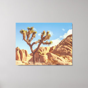 Lienzo Paisaje de árboles de Joshua con formaciones rocos