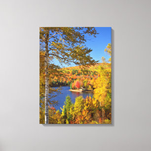 Lienzo Paisaje de árboles de otoño, Maine