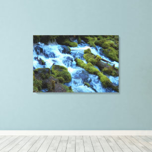 Lienzo Paisaje de cascada en bosque escénico