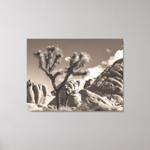 Lienzo Paisaje de Joshua Tree en Tono Sepia