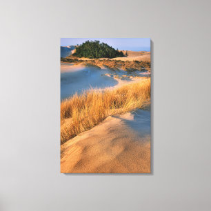 Lienzo Paisaje de las dunas de arena de Oregón