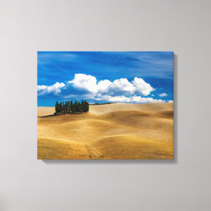 Lienzo Paisaje de las llanuras toscanas (Italia)