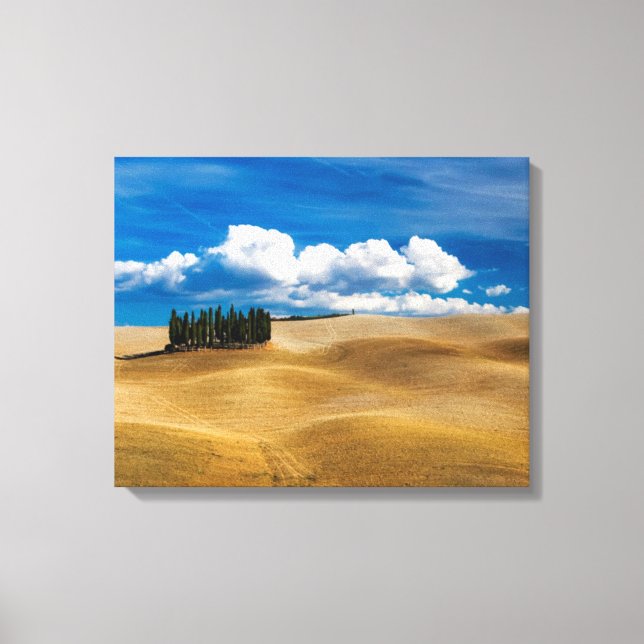 Lienzo Paisaje de las llanuras toscanas (Italia) (Anverso)