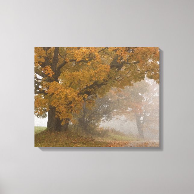 Lienzo paisaje de otoño, Vermont, EE. UU. 4 (Anverso)