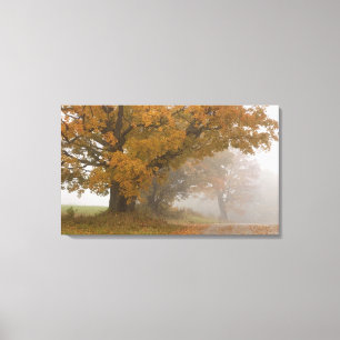 Lienzo paisaje de otoño, Vermont, EE. UU. 4