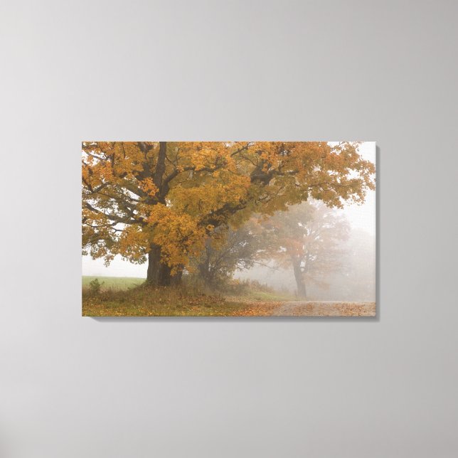 Lienzo paisaje de otoño, Vermont, EE. UU. 4 (Anverso)