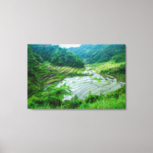 Lienzo Paisaje de terrazas de arroz, Filipinas