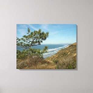 Lienzo Paisaje de Torrey Pine y costa de California