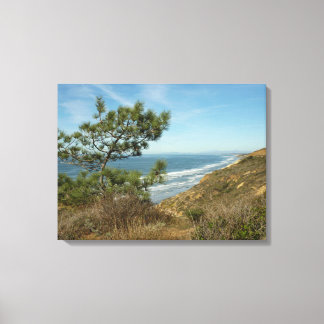 Lienzo Paisaje de Torrey Pine y costa de California