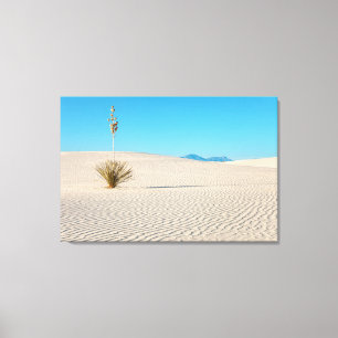 Lienzo Paisaje de White Sands y árbol de yuca