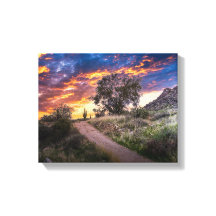 Paisaje del desierto 2815 con Saguaro al atardecer