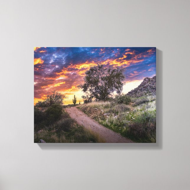 Lienzo Paisaje del desierto 2815 con Saguaro al atardecer (Anverso)