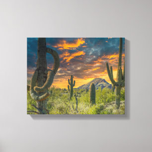 Lienzo Paisaje del desierto 4792-2-Desert al atardecer