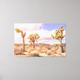 Lienzo Paisaje del desierto de Joshua Trees