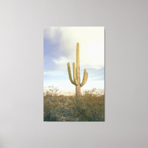 Lienzo Paisaje del desierto de Saguaro Cactus