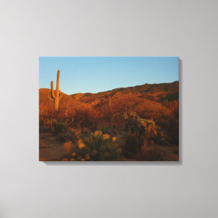 Lienzo Paisaje del desierto de Saguaro Sunset I Arizona