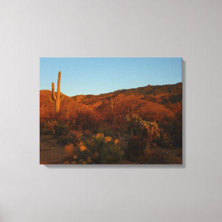 Lienzo Paisaje del desierto de Saguaro Sunset I Arizona