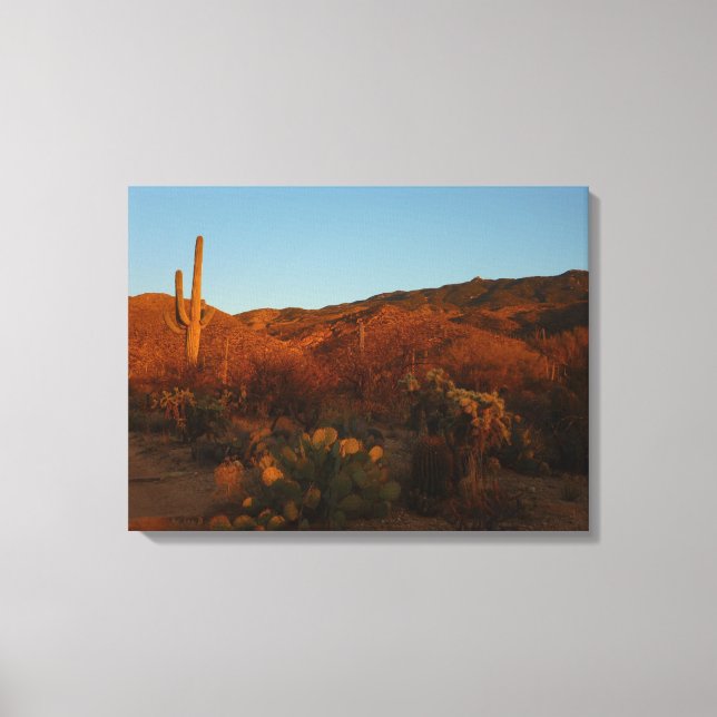 Lienzo Paisaje del desierto de Saguaro Sunset I Arizona (Anverso)