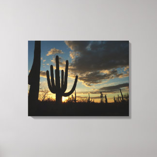 Lienzo Paisaje del desierto de Saguaro Sunset II Arizona