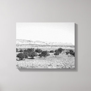 Lienzo Paisaje del desierto de Utah en blanco y negro 11x