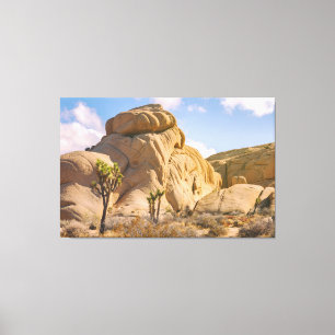 Lienzo Paisaje del Parque Nacional Joshua Trees