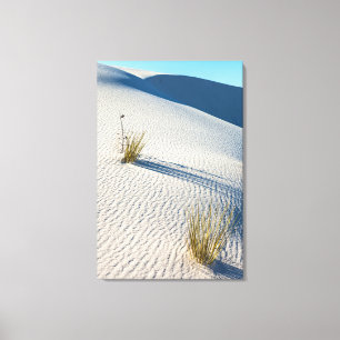 Lienzo Paisaje del Parque Nacional White Sands