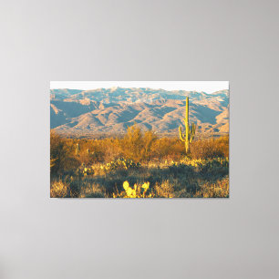 Lienzo Paisaje desértico con cactus saguaro