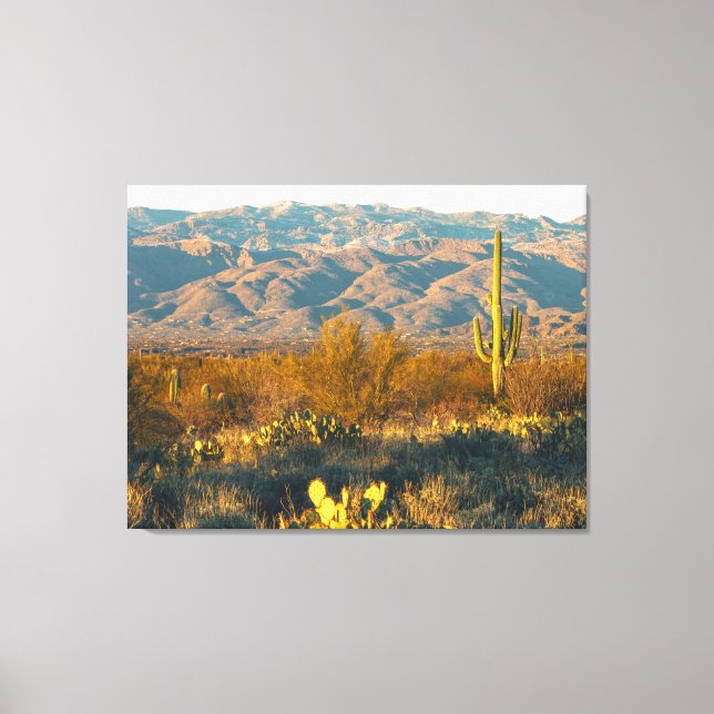 Lienzo Paisaje desértico con cactus saguaro (Anverso)