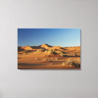 Paisaje desértico de Namib en Sossusvlei,
