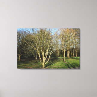 Lienzo Paisaje en el parque a principios de primavera
