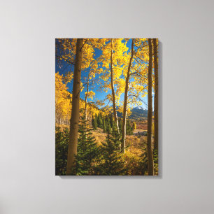 Lienzo Paisaje en las montañas de San Juan