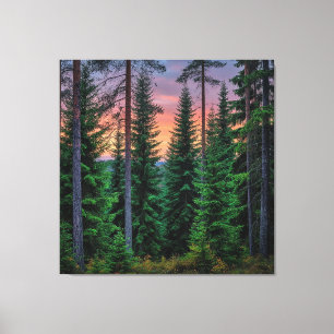 Lienzo Paisaje forestal al atardecer con verde exuberante