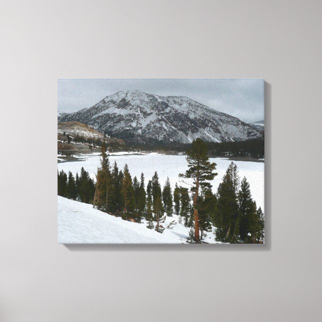 Lienzo Paisaje invernal Snowy Ellery Lake California (Anverso)