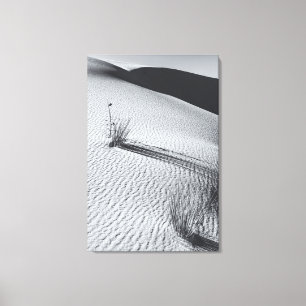Lienzo Paisaje Monocromo de Desierto con Mechones de Hier