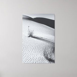 Lienzo Paisaje Monocromo del Desierto con Tufts de Grasa