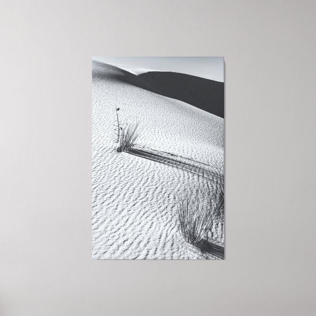 Lienzo Paisaje Monocromo del Desierto con Tufts de Grasa (Anverso)