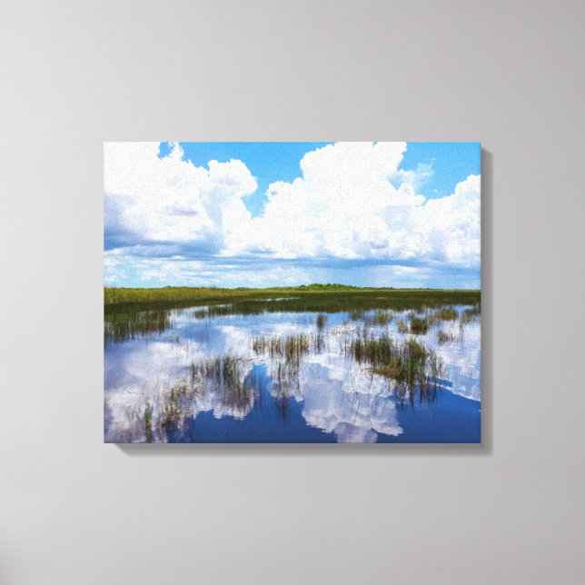 Lienzo Paisaje natural de Everglades (Anverso)