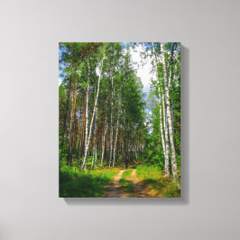 Lienzo Paisaje natural Paisaje paisaje Bosque Birch Bielo