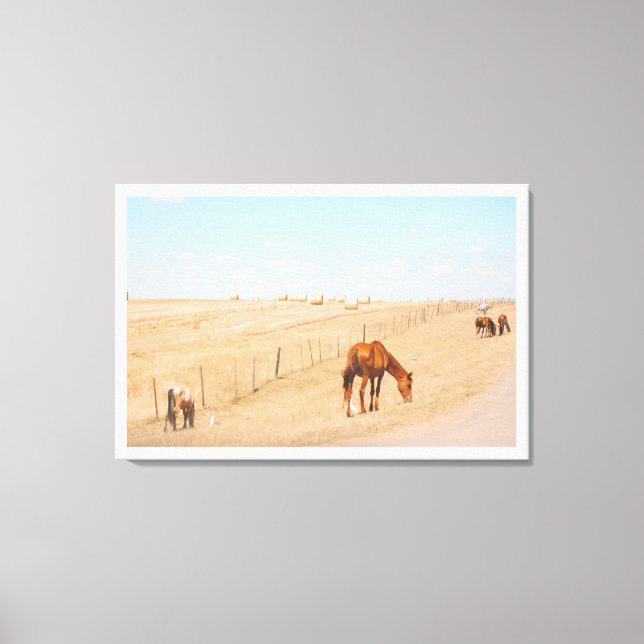 Lienzo Paisaje rural Campos de Caballos Salvajes (Anverso)