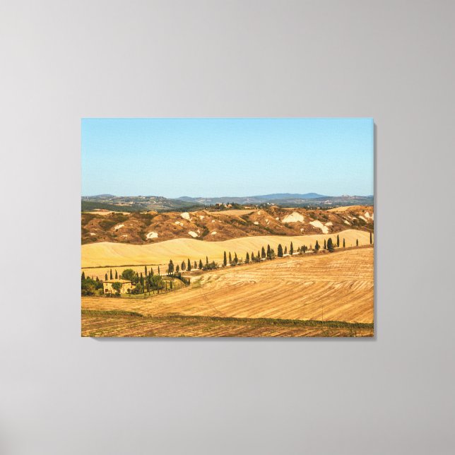 Lienzo Paisajes típicos de la provincia de Siena en la To (Anverso)